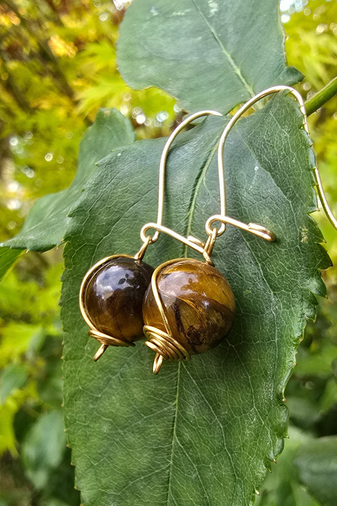 Pura Vida - Tiger's Eye Earrings